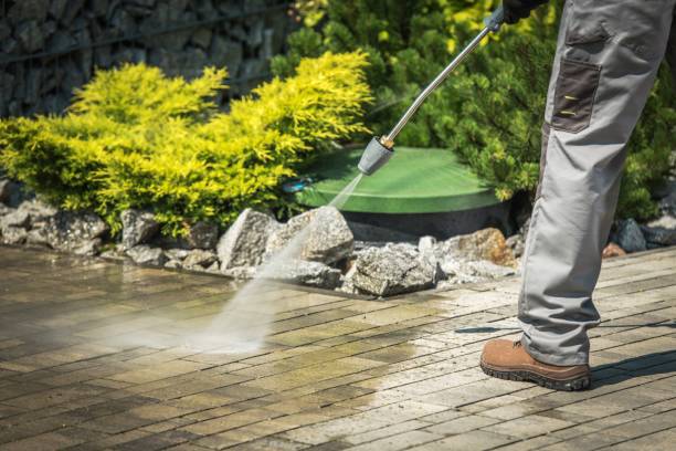 Best Soft Washing  in Brownfield, TX